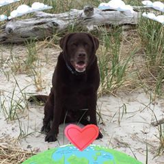 Profile Picture of Michael Cirincione (@michaelcirincione) on Tiktok