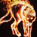 Profile Picture of Zack Cameron (@mckenzieab602) on Instagram