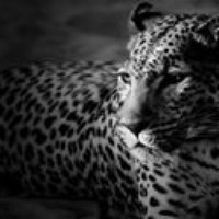 Andreas Ioannou - Quora Profile Picture of Andreas Ioannou (@andreas-ioannou-6) on Quora