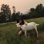 Profile Picture of Alexia Lessard (@lexielezard) on Instagram