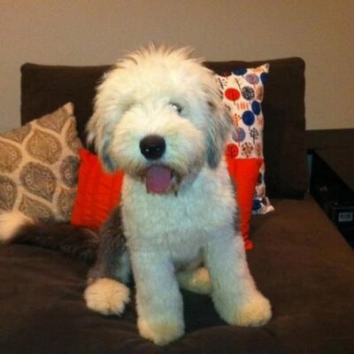 Kate Cantrell - Twitter Profile Picture of Kate Cantrell (@katecan11) on Twitter