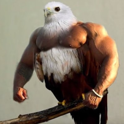 Profile Picture of Gabriel Lagacé (@GabrielLagac1) on Twitter