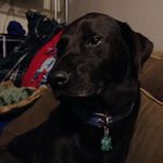 Profile Picture of John Meredith (@meredith8919) on Instagram