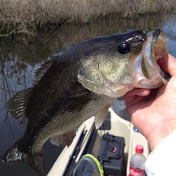 Profile Picture of Craig Dye (@craigdye2280) on Youtube