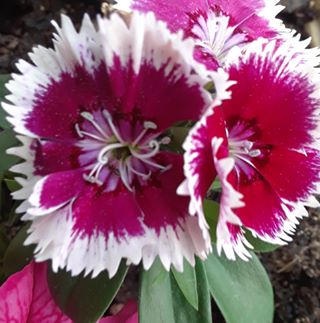 Profile Picture of Ralph Larkins (@ralph.larkins.50) on Facebook