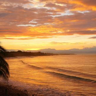 Profile Picture of Perry Fallon (@perryfallon1) on Twitter