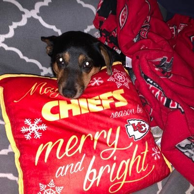 Profile Picture of Carol Schroeder (@carolschroeder_) on Twitter