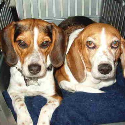 Profile Picture of Clark Barton (@dangdragon) on Twitter