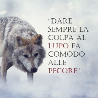 Profile Picture of Andrea Papi (@andrea.papi.391) on Facebook