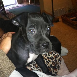 Profile Picture of Roxy Bentley (@roxy.bentley.9) on Facebook