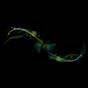 Profile Picture of exz0rzist (@@exz0rzist) on Tiktok