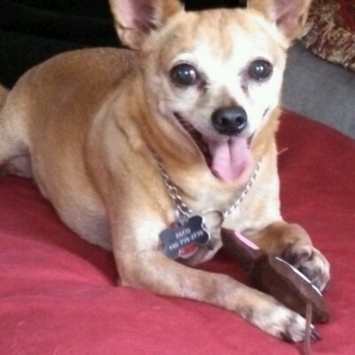 Profile Picture of Jim Reeser (@JimReeser1) on Twitter
