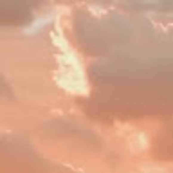 Profile Picture of Jordan Lanuto (@jordan_lanuto) on Poshmark