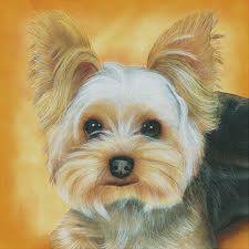 Profile Picture of Márcia Luciane Heinrich (@marcialuciane.heinrich) on Facebook