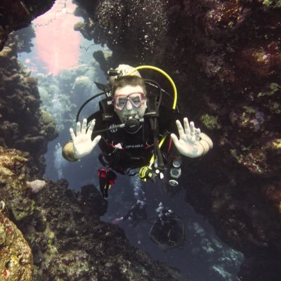 Profile Picture of Alastair Manning (@Al_Manning) on Twitter