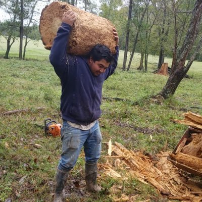 Profile Picture of Jose Cerros (@ramirezjose373) on Twitter