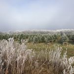 Profile Picture of Michael Eldridge (@_e_182) on Instagram