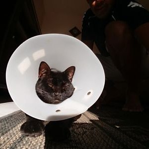 Profile Picture of António Carlos Silvério Júnior (@AntnioC25787996) on Twitter