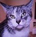 Profile Picture of Sylvia Heller (@sylvia.heller.31) on Facebook
