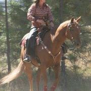 Profile Picture of Bobbi Fields (@bobbifields) on Pinterest