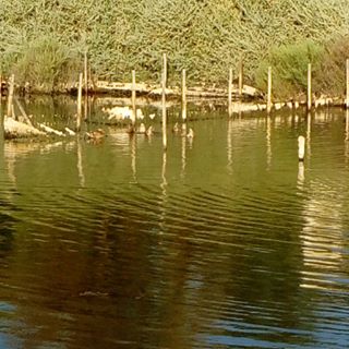 Profile Picture of Patrick Frances (@patrick.frances.581) on Facebook