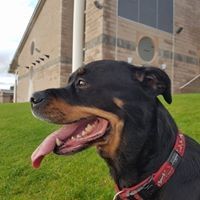 Profile Picture of Colin Mclellan (@bigcolinmc) on Pinterest
