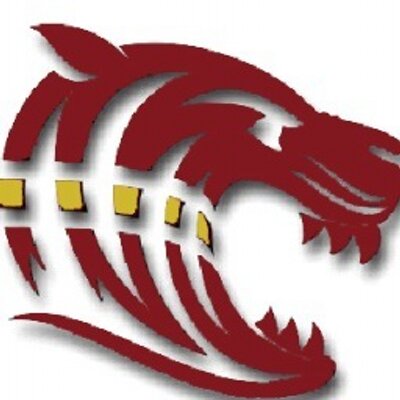 Profile Photo of Dawson Co HS (@DCHStigers) on Twitter