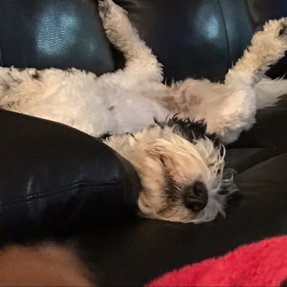 Profile Picture of Kara Vaaler (@knv21va) on Poshmark