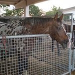 Profile Picture of Lorena Castagna (@lorenacastagna) on Instagram