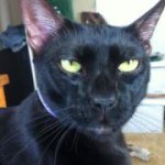 Profile Picture of Wesley Truitt (@berlinwes) on Instagram