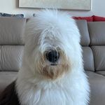 Profile Picture of BAILEY (@bailey.evan_) on Instagram