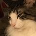 Profile Picture of Jean Caskey Spreng (@jean.spreng.7) on Facebook