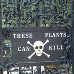 Robert Springett - Instagram Profile Picture of Robert Springett (@robertspringett) on Instagram