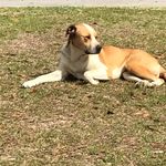 Profile Picture of Andrew Hosein (@andrew_hosein3) on Instagram