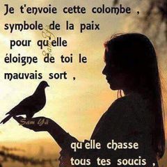 Profile Picture of michelriesen (@michelriesen) on Tiktok