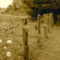 Profile Picture of Jo Cortez (@jo-cortez-9) on Quora