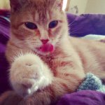 Profile Picture of Ericka (@erigrimm) on Instagram