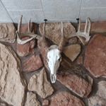 Profile Picture of raymondlipps2018 (@raymondlipps20189) on Instagram