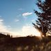 Profile Picture of Brendanmcnab (@brendanmcnab02) on Pinterest