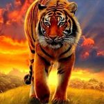 Profile Picture of brian mcgaha (@mcgahabrian) on Instagram