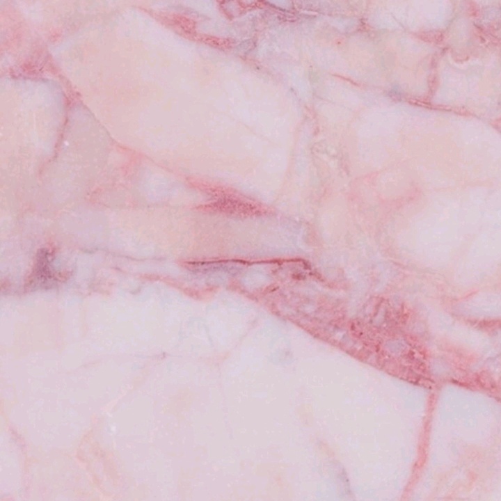 Profile Picture of Beatrice (@beatriceferrone._) on Tiktok