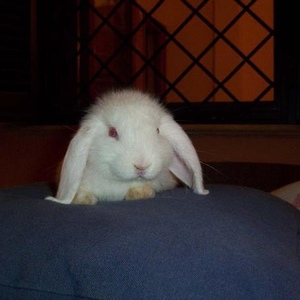 Profile Picture of Philip Green (@phillypeppiz) on Myspace