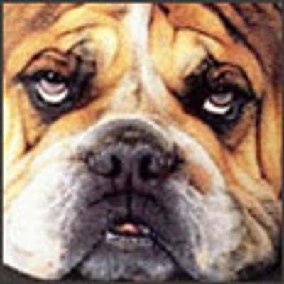 Profile Picture of Joel Schroeder (@kowidykyvud) on Twitter