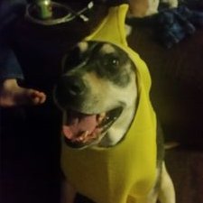 Profile Picture of Chase Pittman (@ShutUpAndMeme) on Twitter