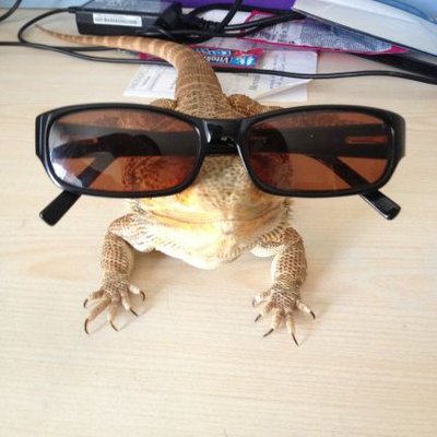 Profile Picture of Bryan Pellerin (@JuraOnline91) on Twitter