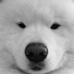 Profile Picture of Tina Hale (@tina.oswald.94) on Instagram