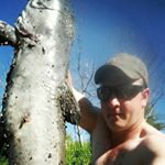 Profile Picture of Curtis Klein (@cletus_101) on Instagram