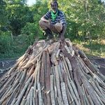 Profile Picture of Cleon Williams (@cleon6911) on Instagram