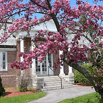 Profile Picture of Dracut Library (@m g parker memorial library - dracut) on Flickr