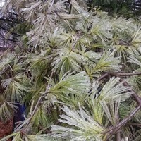 Profile Picture of James Hutzler (@james-hutzler) on Quora